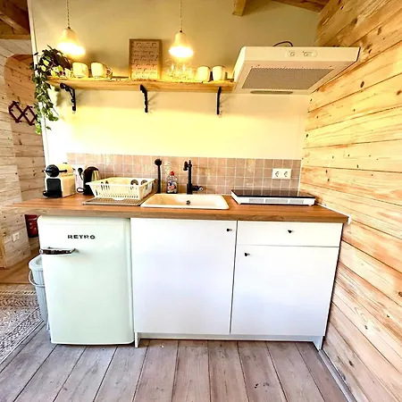 Prázdninový dům New Charming Scandinavian Eco House With Garden And Jacuzzi Vijfhuizen