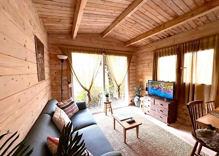 Hébergement de vacances New Charming Scandinavian Eco House With Garden And Jacuzzi Vijfhuizen