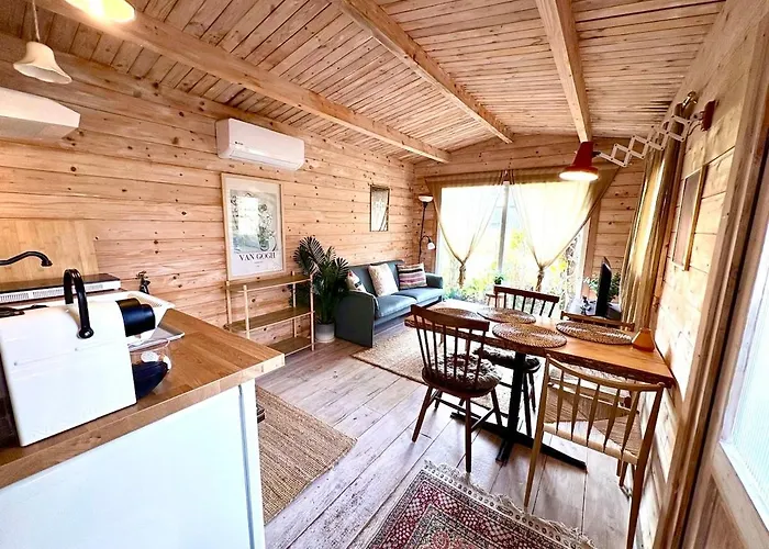 New Charming Scandinavian Eco House With Garden And Jacuzzi * Vijfhuizen